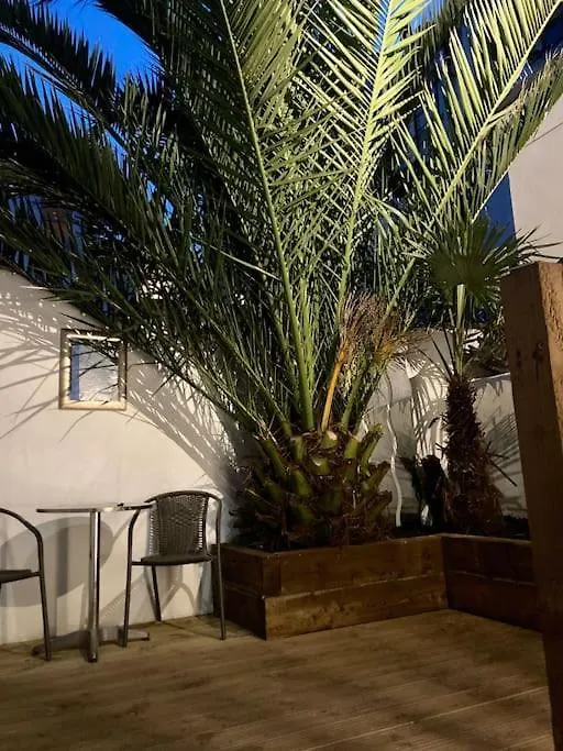 Brighton Palms 아파트